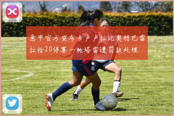 意甲官方宣布卡卢卢拉比奥特巴雷拉恰20停赛一轮塔雷遭罚款处理